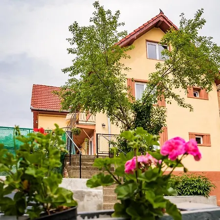 Gabi'S Home #2 Sighisoara Exterior photo